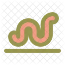 Worm  Icon
