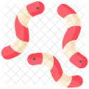 Worms Icon