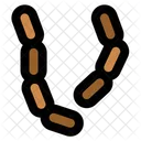 Worms Virus Bacteria Icon
