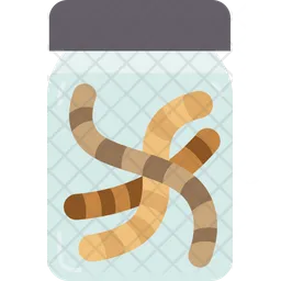 Worms  Icon