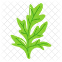 Leaf Ash Leaf Beech Leaf Icon