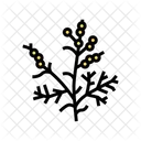 Wormwood  アイコン