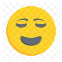 Worried Smiley Feeling Icon