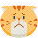 Worry Emoticon Cat Symbol