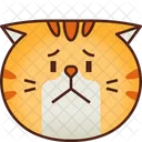 Worry Emoticon Cat Icon