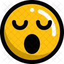 Wow Smart Sad Icon