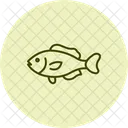 Wrasse Ocean Marine Icon
