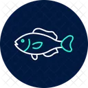 Wrasse Ocean Marine Icon