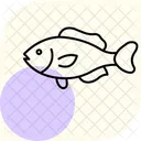 Wrasse Ocean Marine Icon