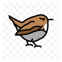 Wren Bird Animal Icon