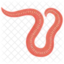 Wurm Malware Regenwurm Symbol