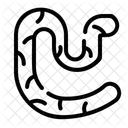 Wurm  Symbol