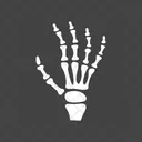 X Ray Scan Icon