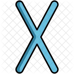 X  Icon