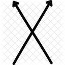 X Line Arrows Icon