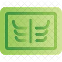 X Ray Radiography Icon