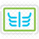 X Ray Radiography Icon