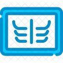 X Ray Radiography Icon