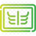 X Ray Radiography Icon