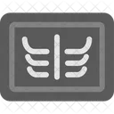 X Ray Radiography Icon