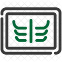 X Ray Radiography Icon