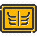 X Ray Radiography Icon