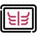 X Ray Radiography Icon