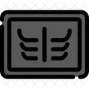 X Ray Radiography Icon