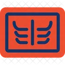 X Ray Radiography Icon