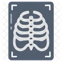 X Ray Radiography Radiogram Icon