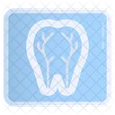 Medicine Dentist Surgery Icon