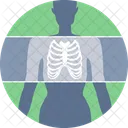 X Ray Radiology Medicine Icon