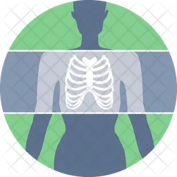 X-ray  Icon