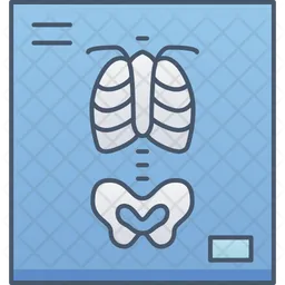 X Ray  Icon