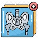 X Ray  Icon