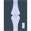 X Ray Healthcare And Medical Anatomy Icon