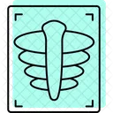 Xray Medical Healthcare Icon
