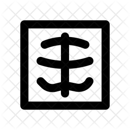 X Ray Icon