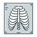 X Ray Xray Medical Icon