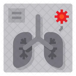 X Ray  Icon