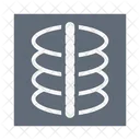 X Ray Medical Report Icon