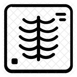 X-ray Icon