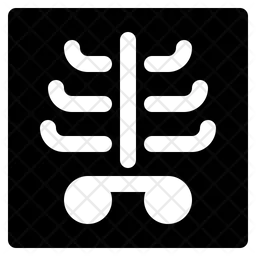 X Ray  Icon