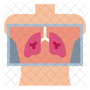X Ray Scan Check Icon