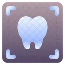 X Ray X Rays Dental Icon