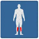 Legs Human Body Icon