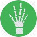 Hand Xray Skeleton Icon
