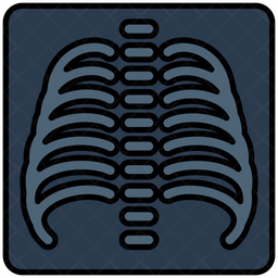 X Ray Icon - Download in Colored Outline Style