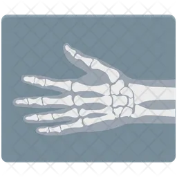 X-ray  Icon