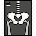 X Ray Radiology Bone Xray Icon
